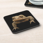 American Toad Getränkeuntersetzer (Linke Seite)