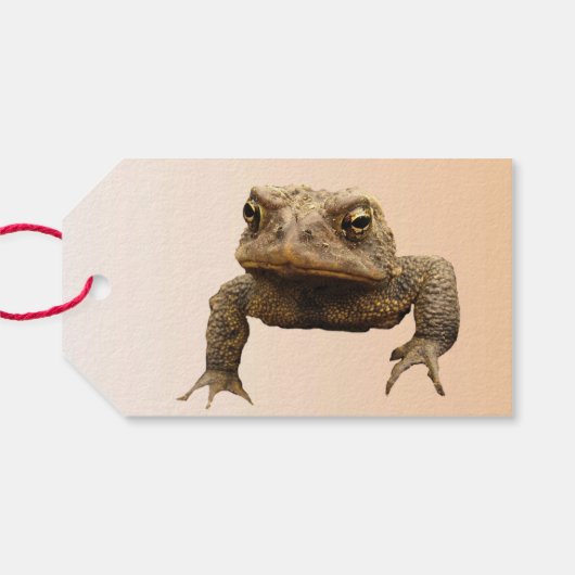 American Toad Pack mit Geschenkartikeln Geschenkanhänger (Rückseite Horizontal)