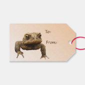 American Toad Pack mit Geschenkartikeln Geschenkanhänger (Vorderseite (Horizontal))