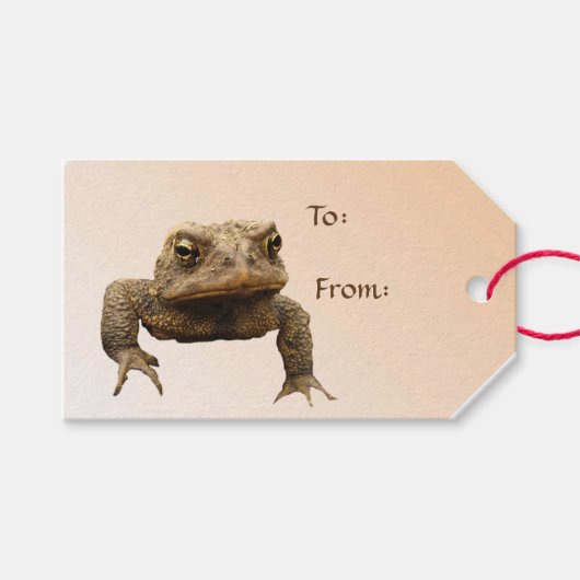 American Toad Pack mit Geschenkartikeln Geschenkanhänger (Vorderseite (Horizontal))