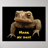 American Toad Poster (Vorne)