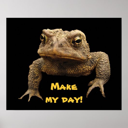 American Toad Poster (Vorne)