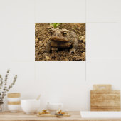 American Toad Poster (Küche)