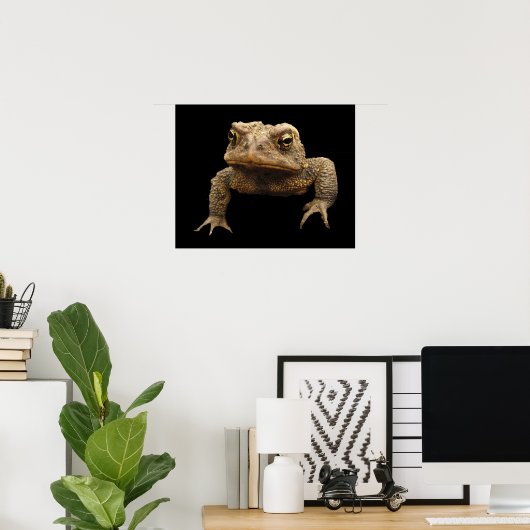 American Toad Poster (Heimbüro)