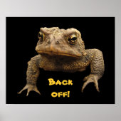American Toad Poster (Vorne)