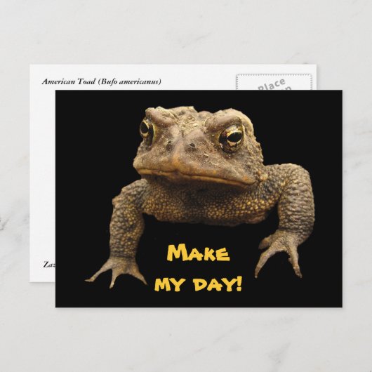 American Toad Postkarte (Vorne/Hinten)