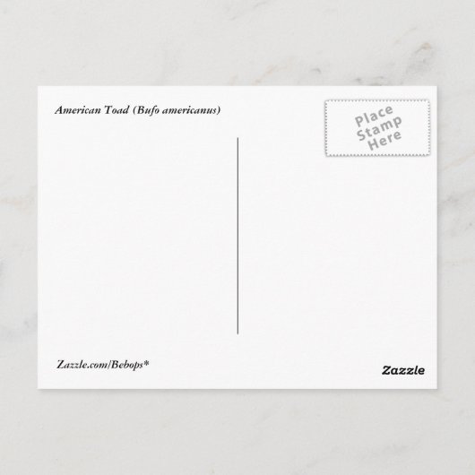 American Toad Postkarte (Rückseite)