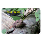 American Toad Premium Flexi Magnet (Horizontal)