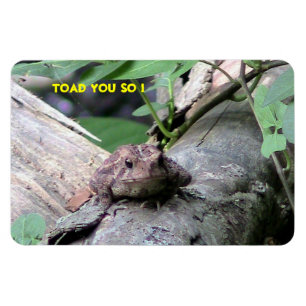 American Toad Premium Flexi Magnet