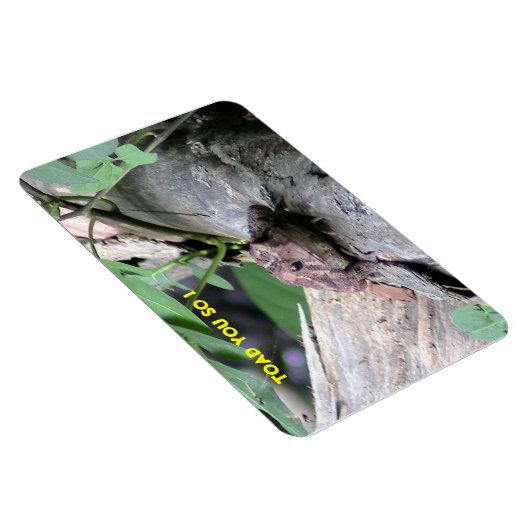 American Toad Premium Flexi Magnet (Rechte Seite)