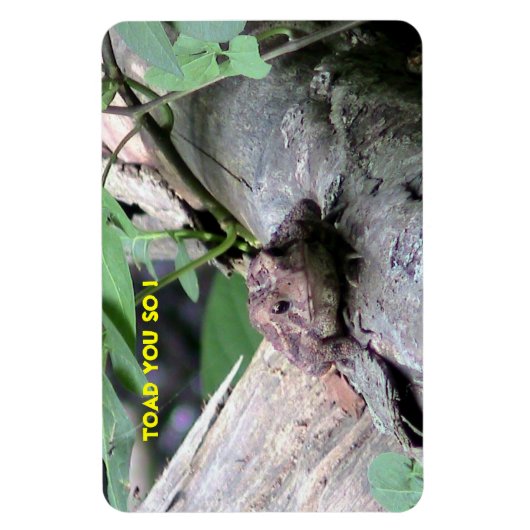 American Toad Premium Flexi Magnet (Vertikal)