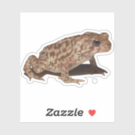 American Toad Vinyl Sticker