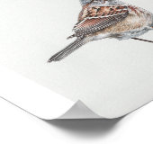American Tree Sparrow Art Print Poster (Ecke)