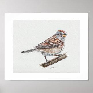 American Tree Sparrow Art Print Poster