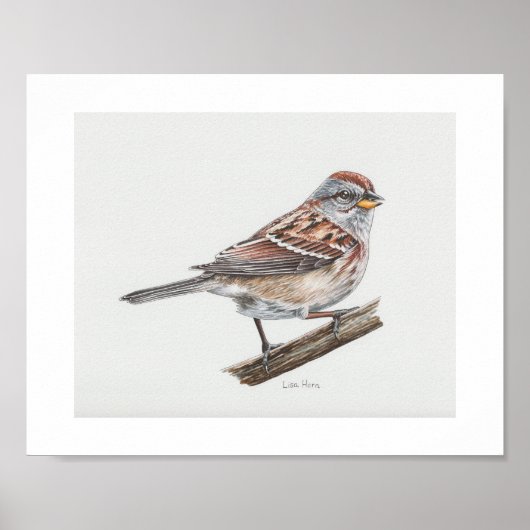 American Tree Sparrow Art Print Poster (Vorne)