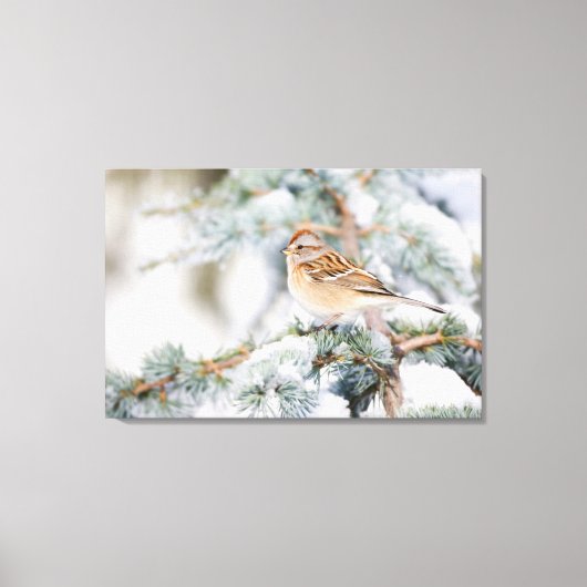American Tree Sparrow im Winter 2 Leinwanddruck (Vorderseite)