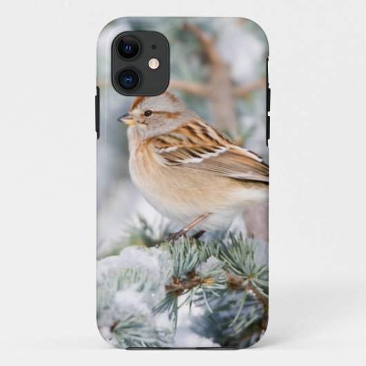 American Tree Sparrow im Winter Case-Mate iPhone Hülle (Rückseite)