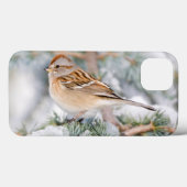 American Tree Sparrow im Winter Case-Mate iPhone Hülle (Rückseite (Horizontal))