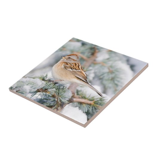 American Tree Sparrow im Winter Fliese (Seite)