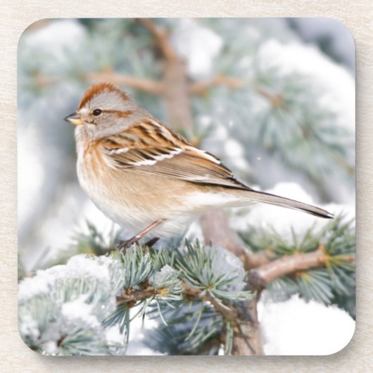 American Tree Sparrow im Winter Getränkeuntersetzer (Vorderseite)