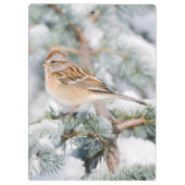 American Tree Sparrow im Winter Klemmbrett (Rückseite)