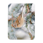 American Tree Sparrow im Winter Magnet (Vertikal)