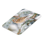 American Tree Sparrow im Winter Magnet (Linke Seite)