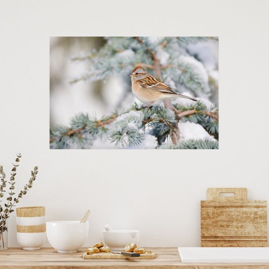 American Tree Sparrow im Winter Poster (Küche)