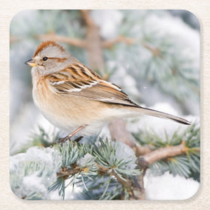 American Tree Sparrow im Winter Rechteckiger Pappuntersetzer