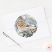 American Tree Sparrow im Winter Runder Aufkleber (Umschlag)