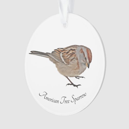 American Tree Sparrow Ornament (Vorderseite)