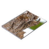 American Treecreeper mit Bug Notizblock (Linke Seite)