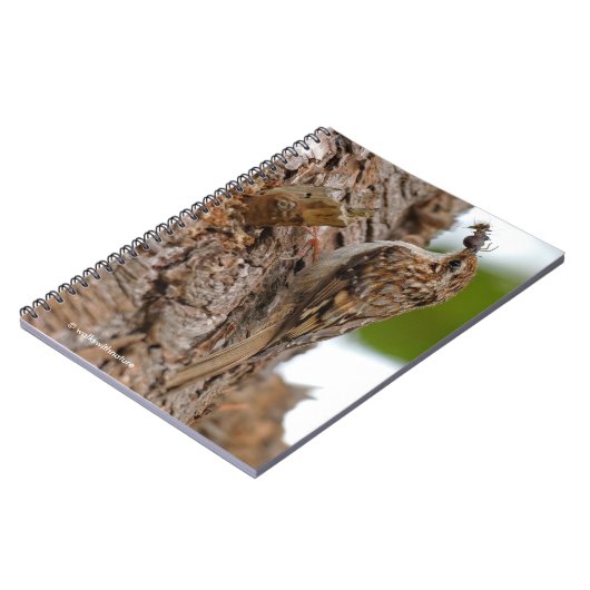 American Treecreeper mit Bug Notizblock (Linke Seite)