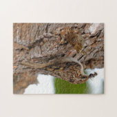 American Treecreeper mit Bug Puzzle (Horizontal)