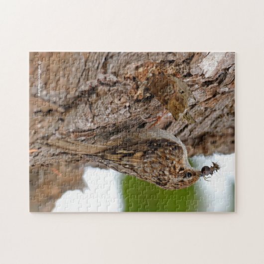 American Treecreeper mit Bug Puzzle (Horizontal)