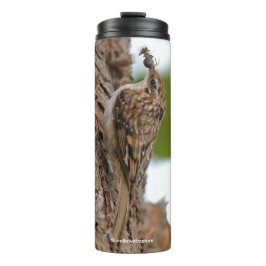 American Treecreeper mit Bug Thermosbecher