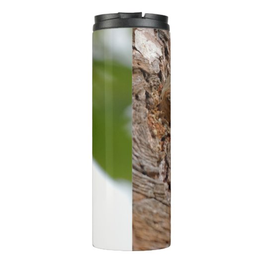 American Treecreeper mit Bug Thermosbecher (Rückseite)