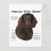 American Water Spanel History Postkarte (Vorderseite)