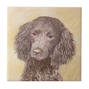 American Water Spanel Malerei - Original Dog Art Fliese