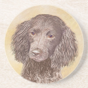 American Water Spanel Malerei - Original Dog Art Getränkeuntersetzer