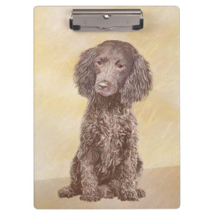 American Water Spanel Malerei - Original Dog Art Klemmbrett