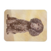 American Water Spanel Malerei - Original Dog Art Magnet (Horizontal)