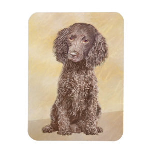 American Water Spanel Malerei - Original Dog Art Magnet