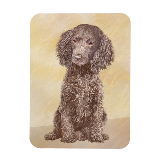American Water Spanel Malerei - Original Dog Art Magnet (Vertikal)