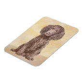 American Water Spanel Malerei - Original Dog Art Magnet (Linke Seite)
