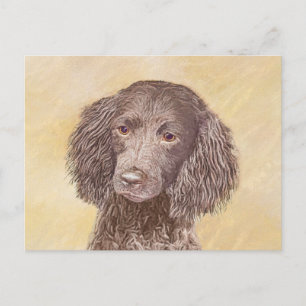 American Water Spanel Malerei - Original Dog Art Postkarte