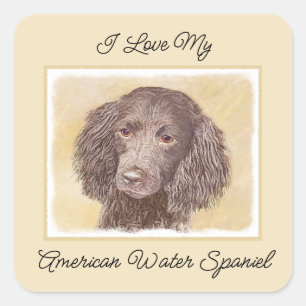American Water Spanel Malerei - Original Dog Art Quadratischer Aufkleber