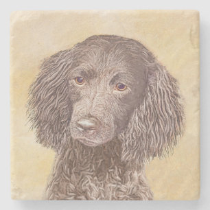 American Water Spanel Malerei - Original Dog Art Steinuntersetzer