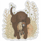 American Water Spaniel Auto-Aufkleber Aufkleber (Vorderseite)