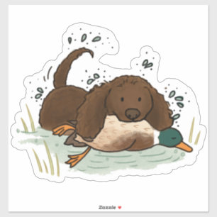 American Water Spaniel Auto-Aufkleber Aufkleber